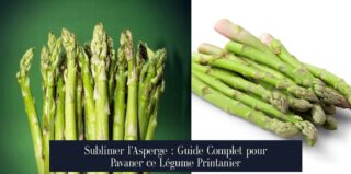 Sublimer l'Asperge : Guide Complet pour Pavaner ce Légume Printanier