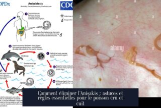 Comment éliminer l'Anisakis : astuces et règles essentielles pour le poisson cru et cuit