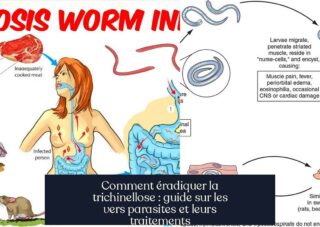 Comment éradiquer la trichinellose : guide sur les vers parasites et leurs traitements