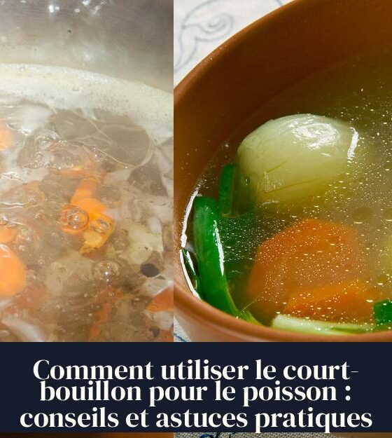 Comment utiliser le court-bouillon pour le poisson : conseils et astuces pratiques
