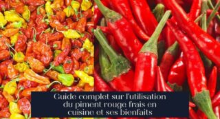Guide complet sur l'utilisation du piment rouge frais en cuisine et ses bienfaits