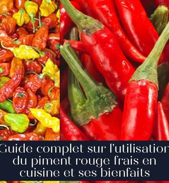 Guide complet sur l'utilisation du piment rouge frais en cuisine et ses bienfaits