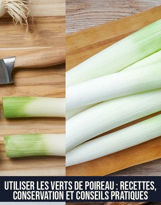 Utiliser les verts de poireau : recettes, conservation et conseils pratiques