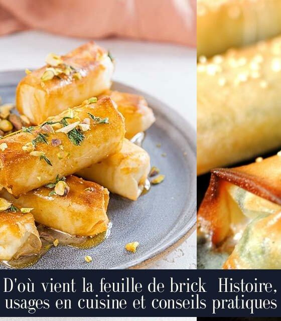 D'où vient la feuille de brick Histoire, usages en cuisine et conseils pratiques