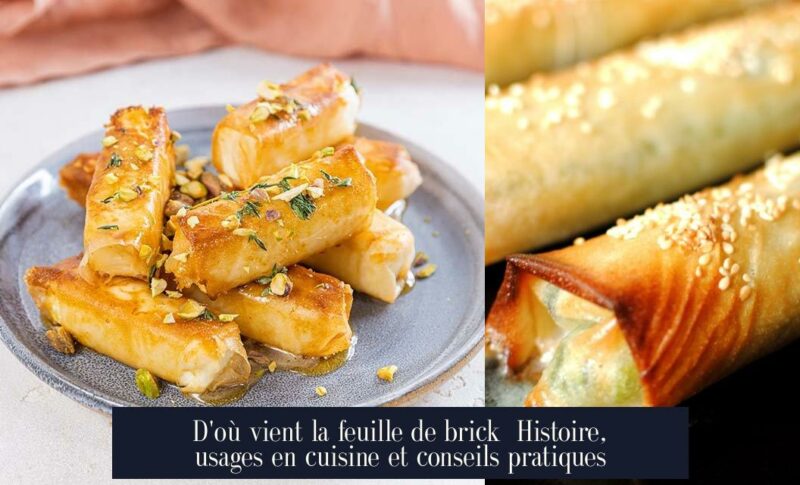 D'où vient la feuille de brick Histoire, usages en cuisine et conseils pratiques