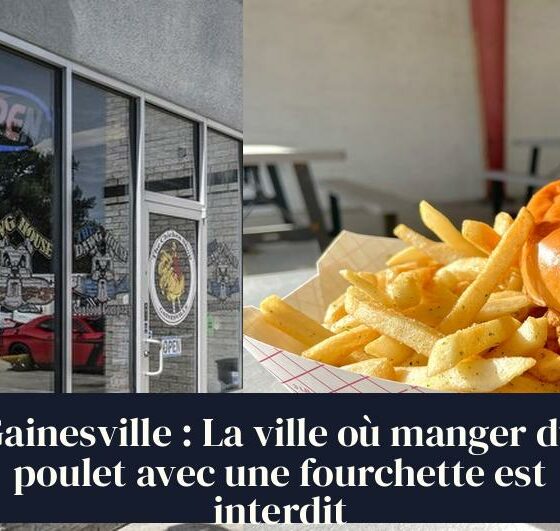 Gainesville : La ville où manger du poulet avec une fourchette est interdit