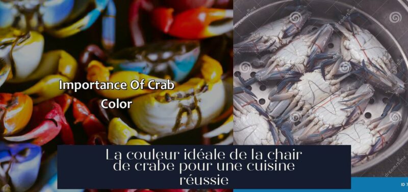 La couleur idéale de la chair de crabe pour une cuisine réussie