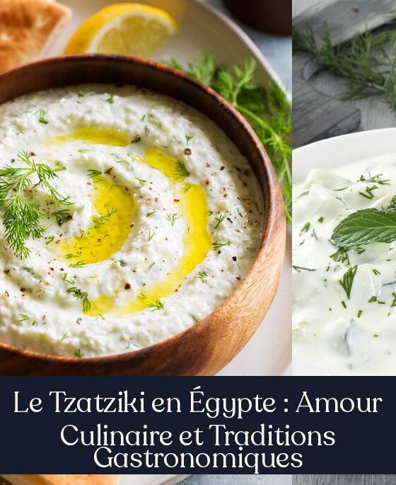 Le Tzatziki en Égypte : Amour Culinaire et Traditions Gastronomiques