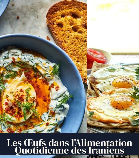 Les Œufs dans l'Alimentation Quotidienne des Iraniens