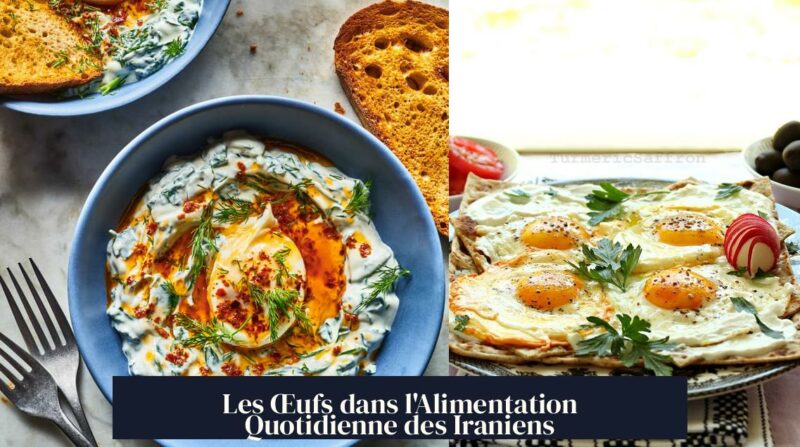 Les Œufs dans l'Alimentation Quotidienne des Iraniens