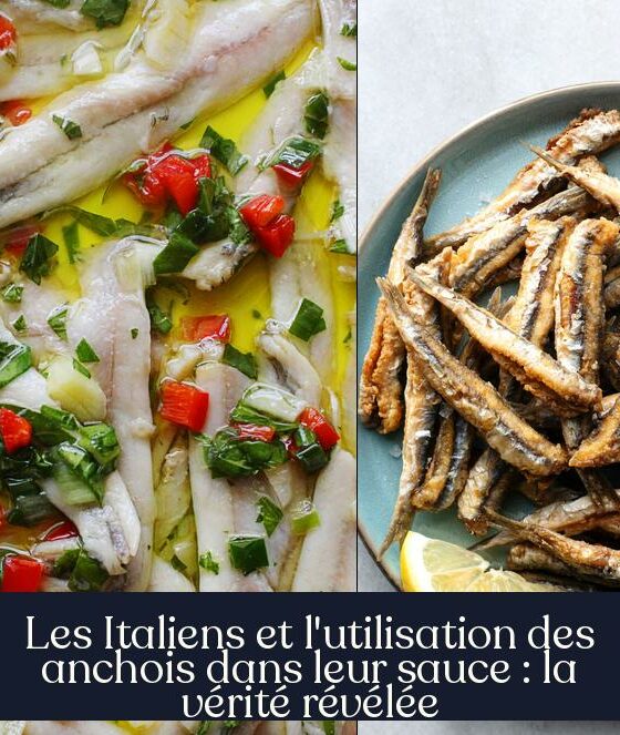 Les Italiens et l'utilisation des anchois dans leur sauce : la vérité révélée