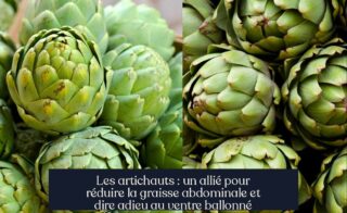 Les artichauts : un allié pour réduire la graisse abdominale et dire adieu au ventre ballonné