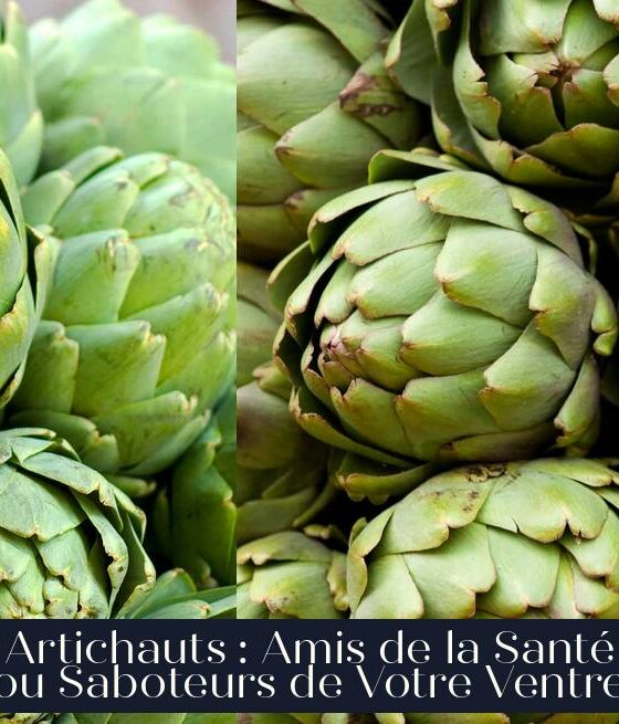 Artichauts : Amis de la Santé ou Saboteurs de Votre Ventre