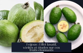 Feijoas : Effet laxatif, vérités et études sur ces fruits étonnants