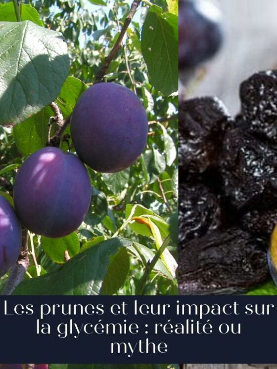 Les prunes et leur impact sur la glycémie : réalité ou mythe