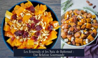Les Écureuils et les Noix de Butternut : Une Relation Gourmande
