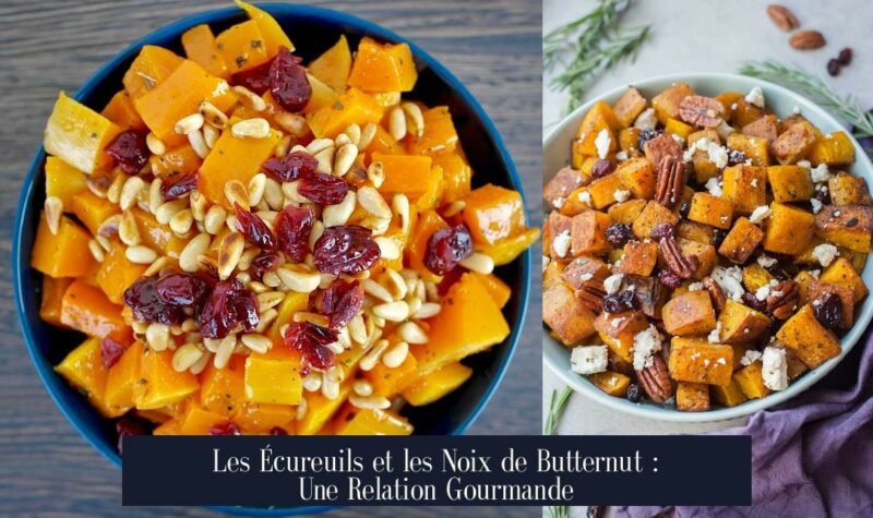 Les Écureuils et les Noix de Butternut : Une Relation Gourmande