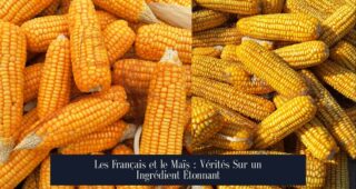 Les Français et le Maïs : Vérités Sur un Ingrédient Étonnant