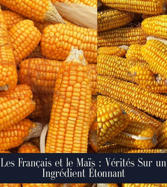 Les Français et le Maïs : Vérités Sur un Ingrédient Étonnant