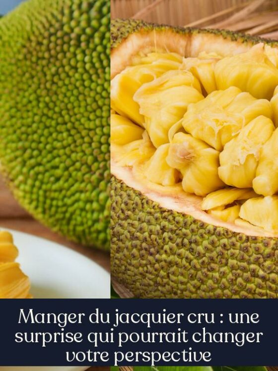 Manger du jacquier cru : une surprise qui pourrait changer votre perspective