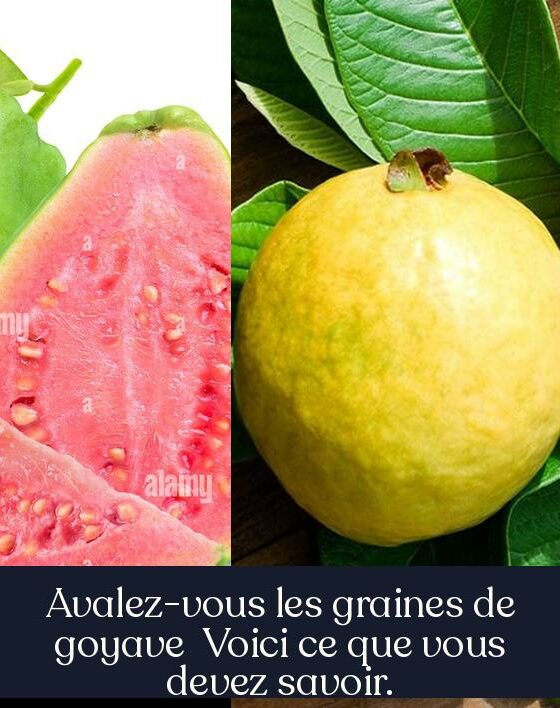 Avalez-vous les graines de goyave Voici ce que vous devez savoir.