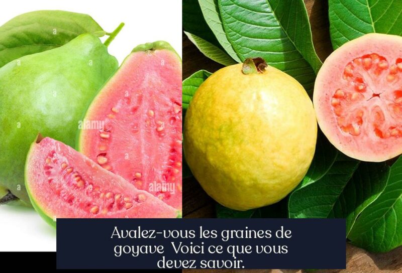 Avalez-vous les graines de goyave Voici ce que vous devez savoir.