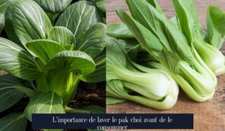 L'importance de laver le pak choi avant de le consommer