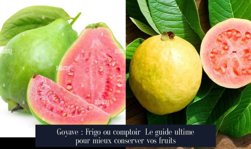 Goyave : Frigo ou comptoir Le guide ultime pour mieux conserver vos fruits
