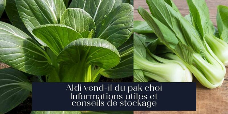 Aldi vend-il du pak choi Informations utiles et conseils de stockage