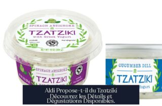 Aldi Propose-t-il du Tzatziki Découvrez les Détails et Dégustations Disponibles.