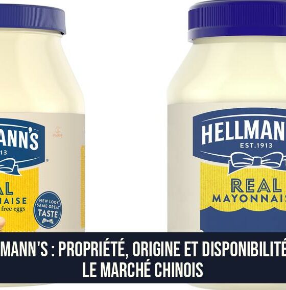 Hellmann's : Propriété, origine et disponibilité sur le marché chinois