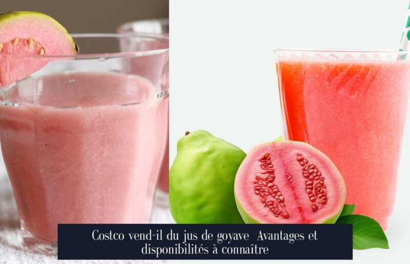 Costco vend-il du jus de goyave Avantages et disponibilités à connaître