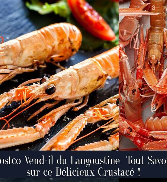 Costco Vend-il du Langoustine Tout Savoir sur ce Délicieux Crustacé !