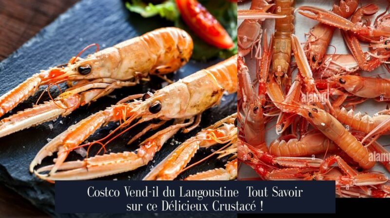 Costco Vend-il du Langoustine Tout Savoir sur ce Délicieux Crustacé !