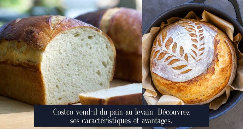 Costco vend-il du pain au levain Découvrez ses caractéristiques et avantages.