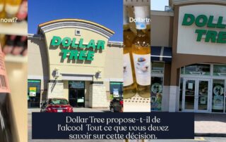 Dollar Tree propose-t-il de l'alcool Tout ce que vous devez savoir sur cette décision.