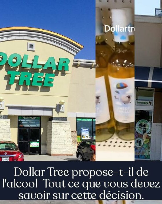 Dollar Tree propose-t-il de l'alcool Tout ce que vous devez savoir sur cette décision.