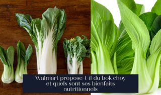 Walmart propose-t-il du bok choy et quels sont ses bienfaits nutritionnels