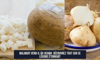 Walmart Vend-il du Jicama Découvrez Tout Sur Ce Légume Étonnant