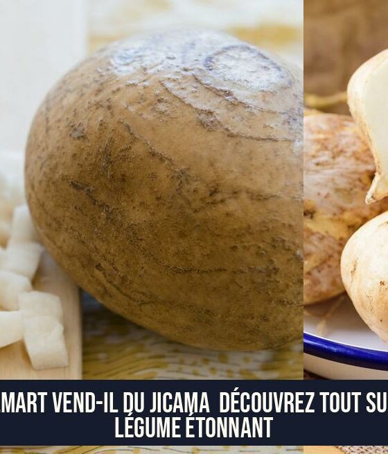 Walmart Vend-il du Jicama Découvrez Tout Sur Ce Légume Étonnant