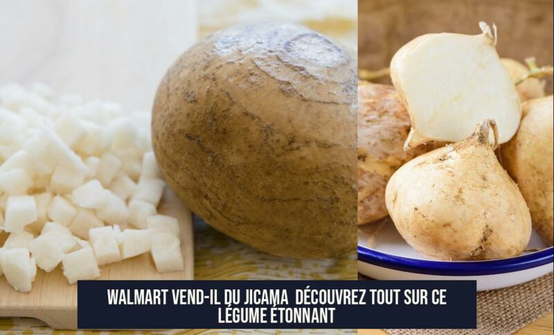 Walmart Vend-il du Jicama Découvrez Tout Sur Ce Légume Étonnant