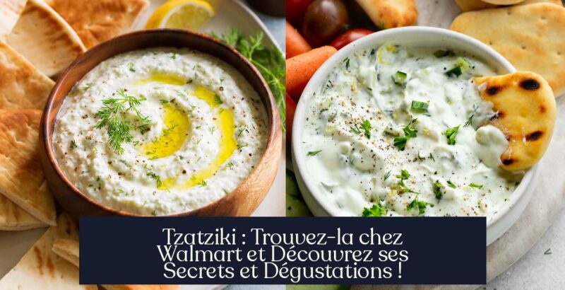 Tzatziki : Trouvez-la chez Walmart et Découvrez ses Secrets et Dégustations !