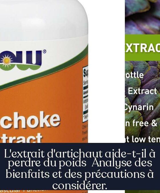 L'extrait d'artichaut aide-t-il à perdre du poids Analyse des bienfaits et des précautions à considérer.