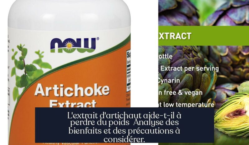 L'extrait d'artichaut aide-t-il à perdre du poids Analyse des bienfaits et des précautions à considérer.