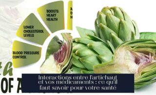 Interactions entre l'artichaut et vos médicaments : ce qu'il faut savoir pour votre santé