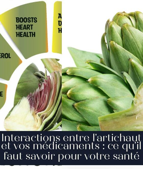 Interactions entre l'artichaut et vos médicaments : ce qu'il faut savoir pour votre santé