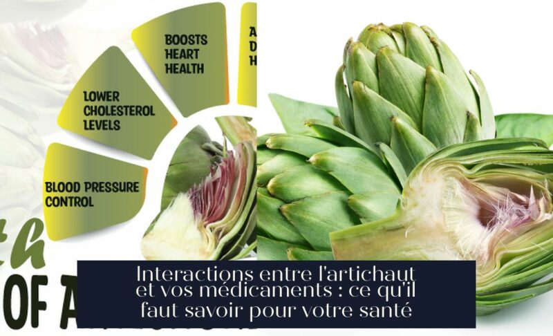 Interactions entre l'artichaut et vos médicaments : ce qu'il faut savoir pour votre santé