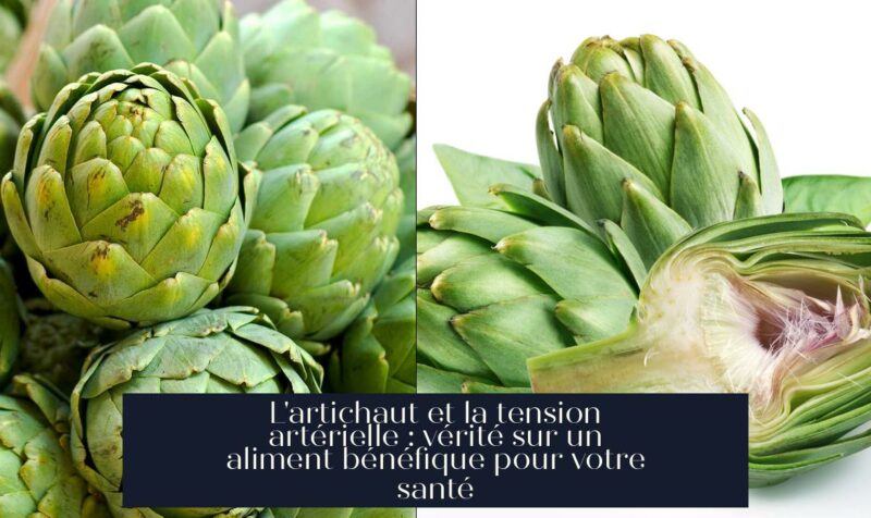 L'artichaut et la tension artérielle : vérité sur un aliment bénéfique pour votre santé