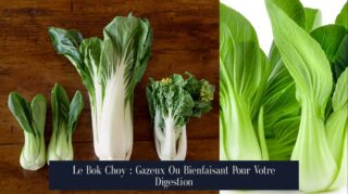 Le Bok Choy : Gazeux Ou Bienfaisant Pour Votre Digestion