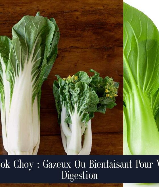 Le Bok Choy : Gazeux Ou Bienfaisant Pour Votre Digestion